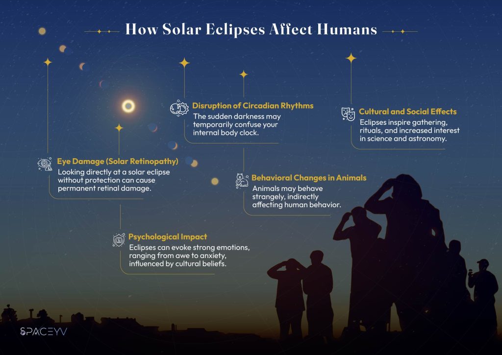 solar Eclipse infpgraphy