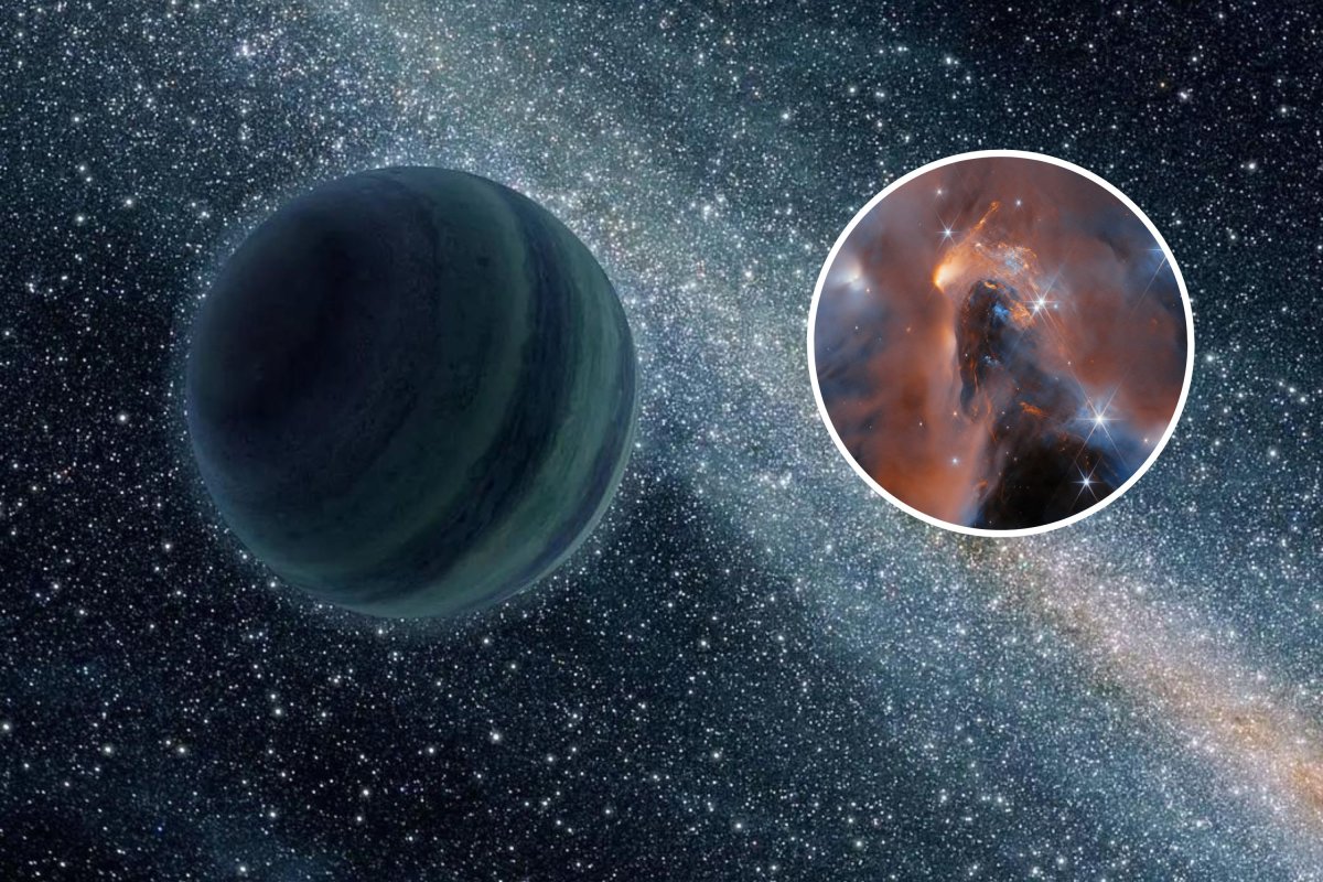 Could Rogue Planets Host Life?